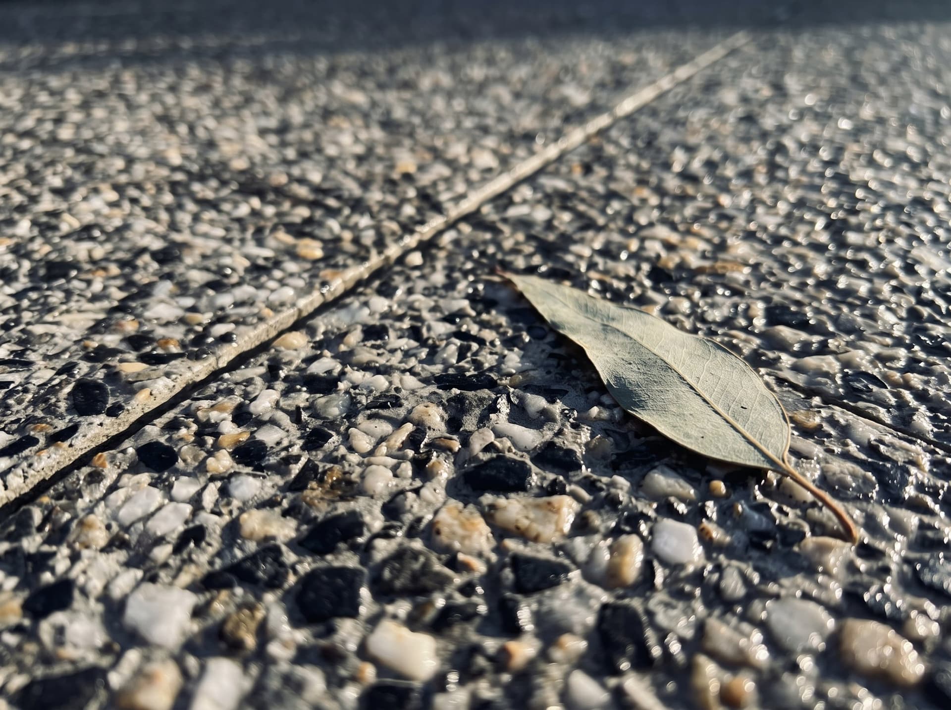 Close-up of sealed exposed-aggregate concrete — Cowra white, ivory and basalt stone